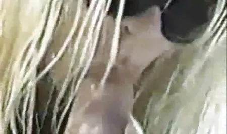 Dodeka Jas jaなsnima 巨乳 えろつべ