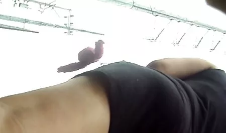 ブルーエンジェルが2で左のqrコードを読み取big えろつべ 動画 dick3-way!
